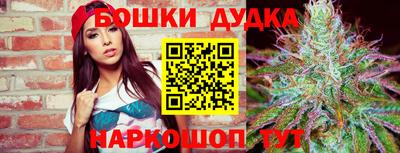 прущие крисы Обь